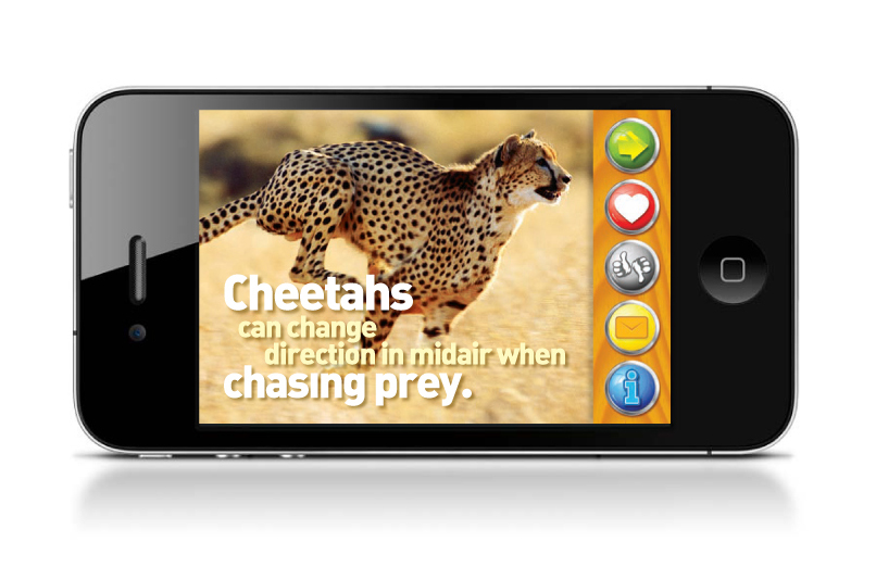 WBT_Blk_iPhone_cheetah.jpg