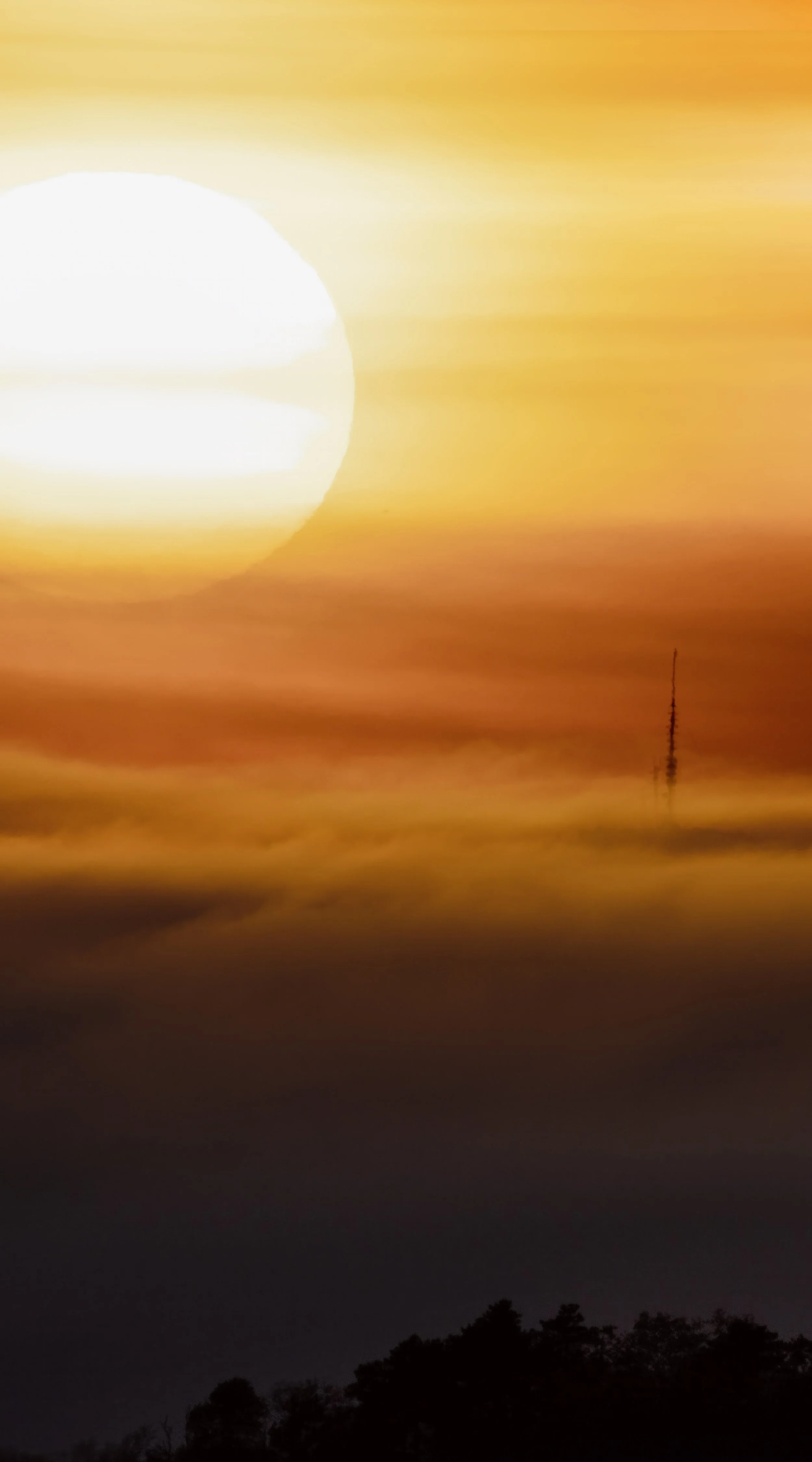 Prudential Fog cropped One ALT 20x36 copy.jpg