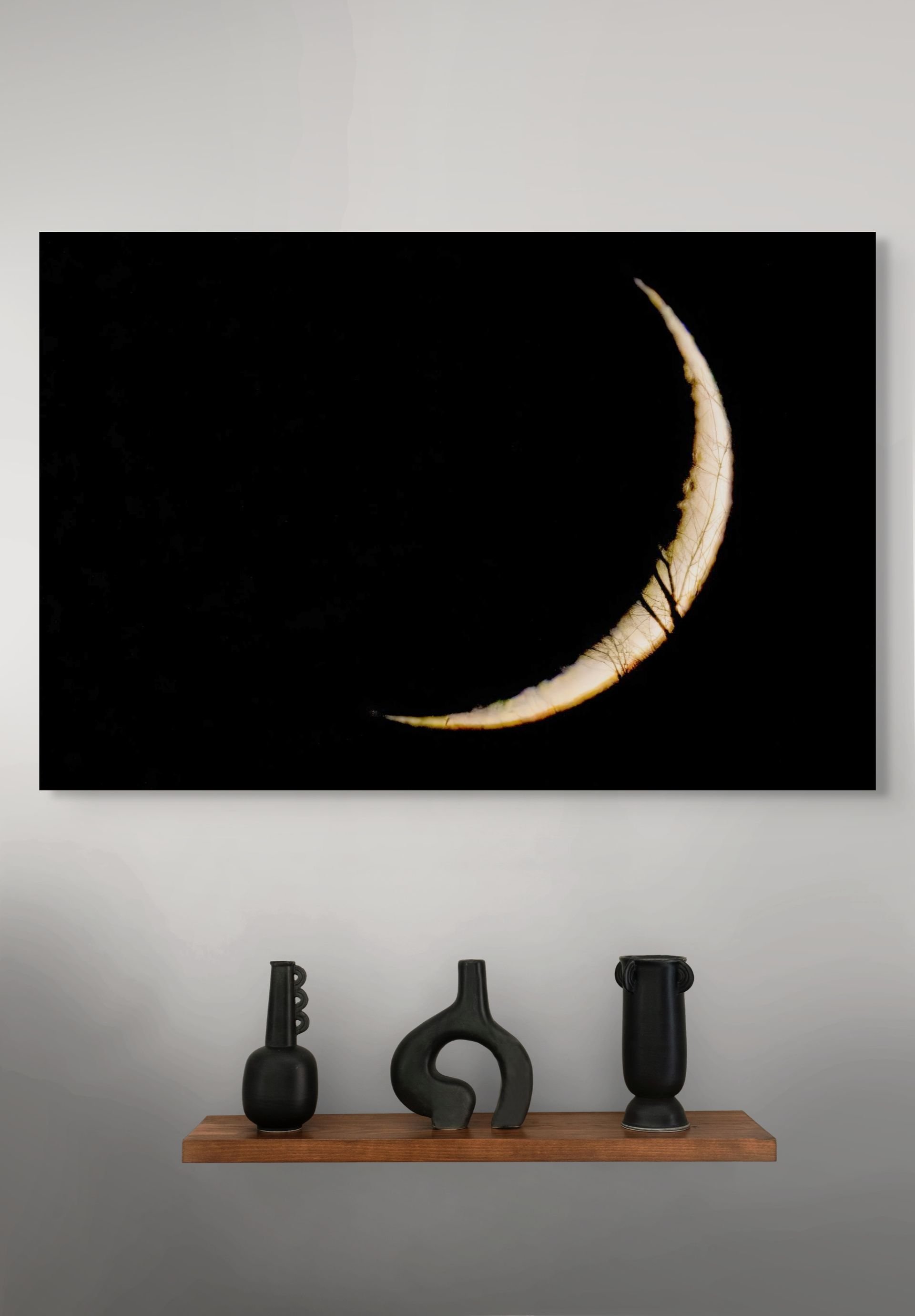 4i2a9222 moon w tree foreground-giga.jpg