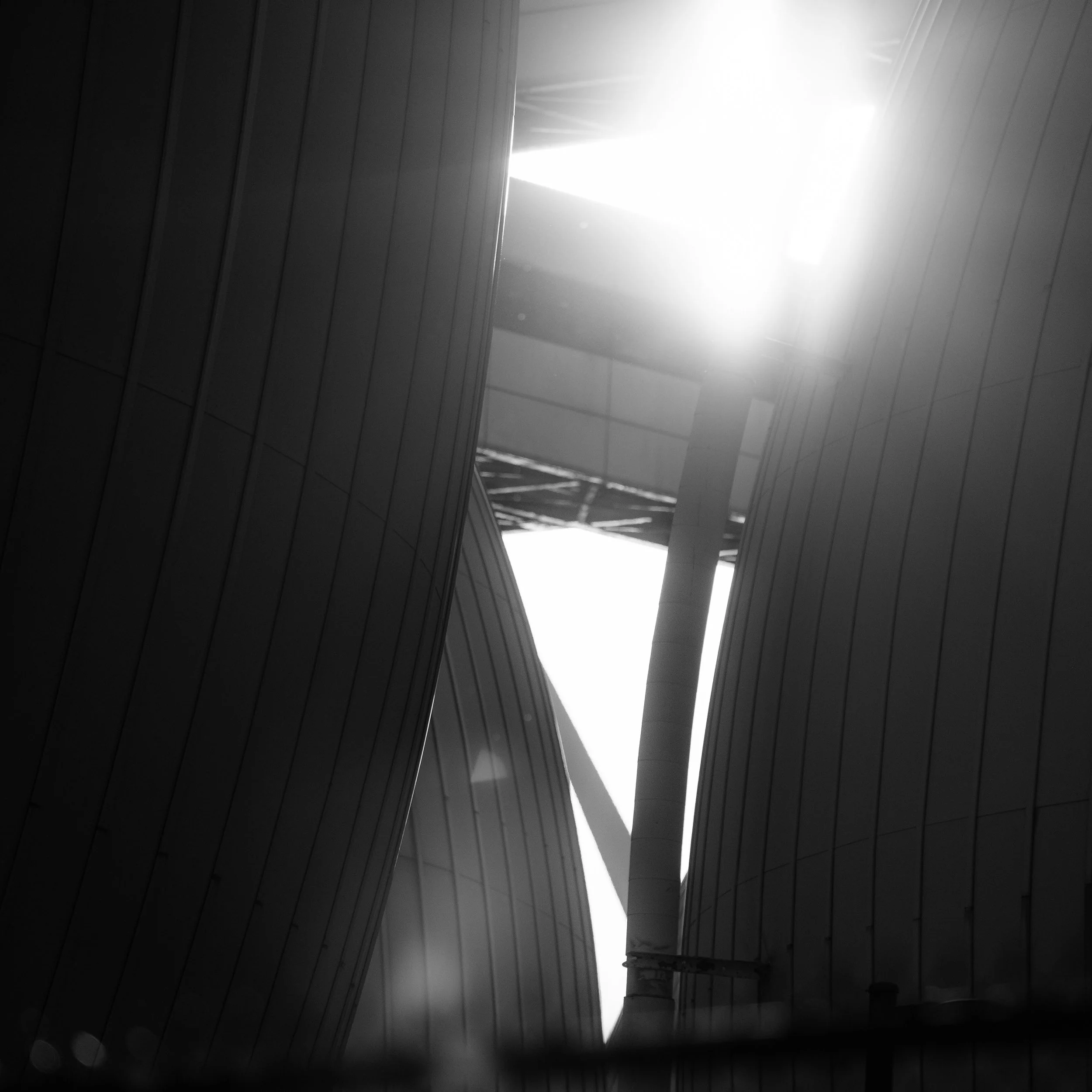 _I2A8092 Poop Eggs square copy.jpg