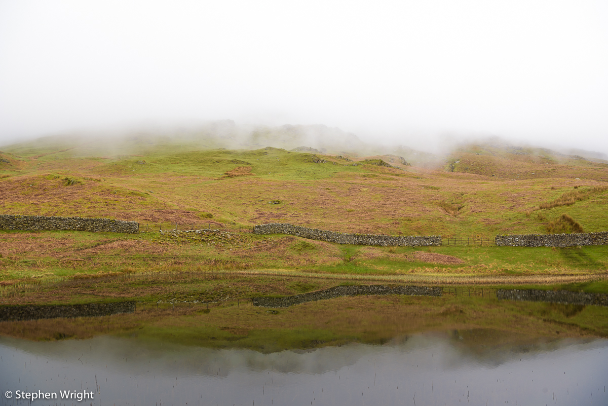 Abstract beauty in the Lake District .