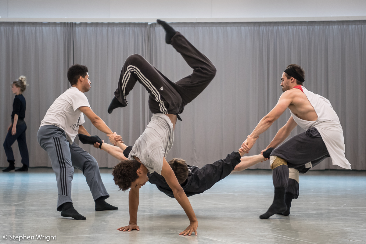 Stephen Quildan, Liam Francis, Joshua Barwick and Adam Park in rehearsal for R ambert 's new work choreographed by Andonis Foniadakis .