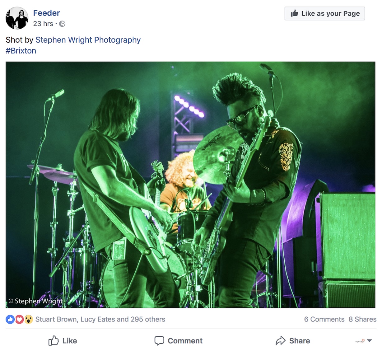 feeder-2.jpeg
