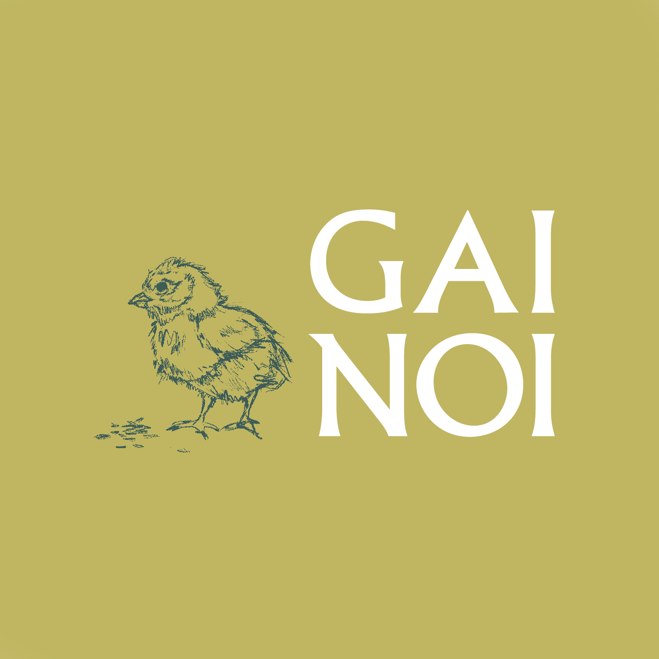 GaiNoi_Logo3-GreenBKND-square.png