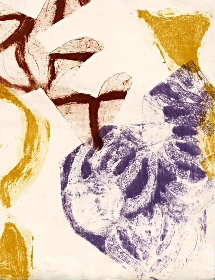 Untitled | Polyester Plate Lithograph | 9” x 12” | 2014