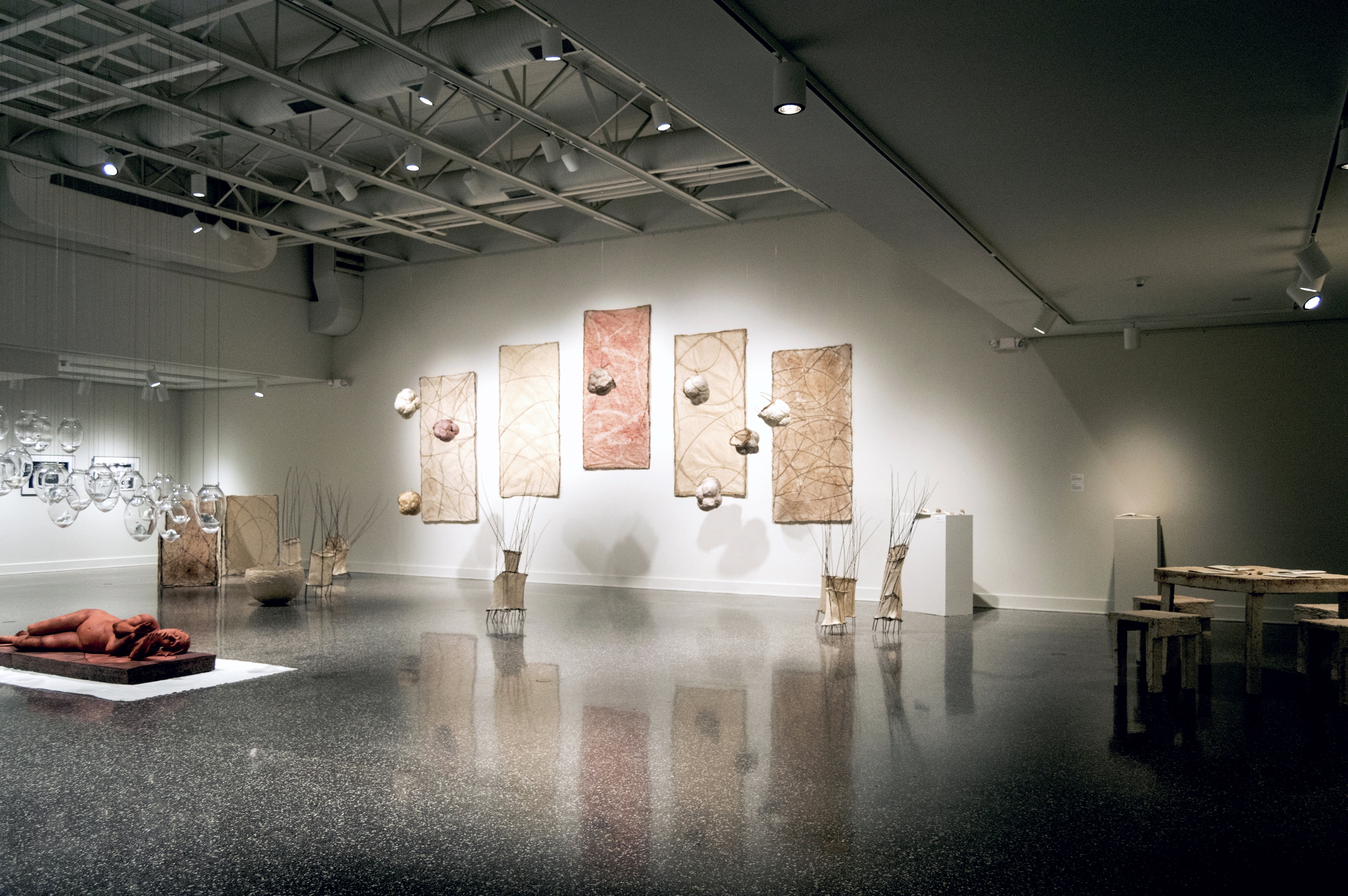 Transformations into the Botanical Conversation, exhibition view (right), 2015