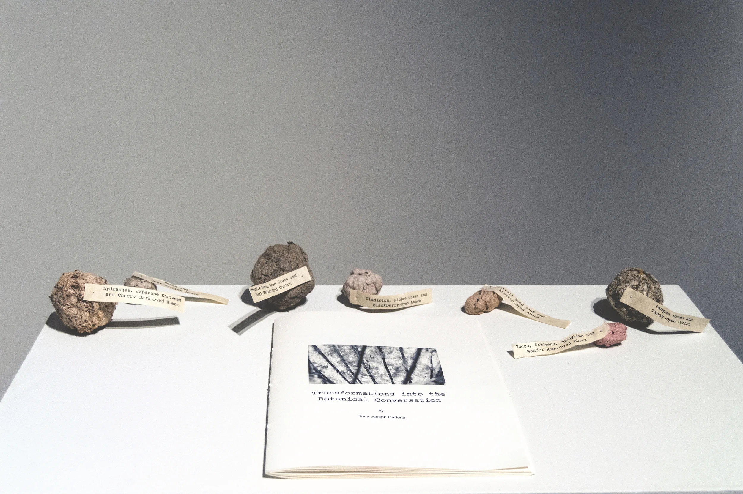 Transformations into the Botanical Conversation (book), and Pulp Samples, 2015