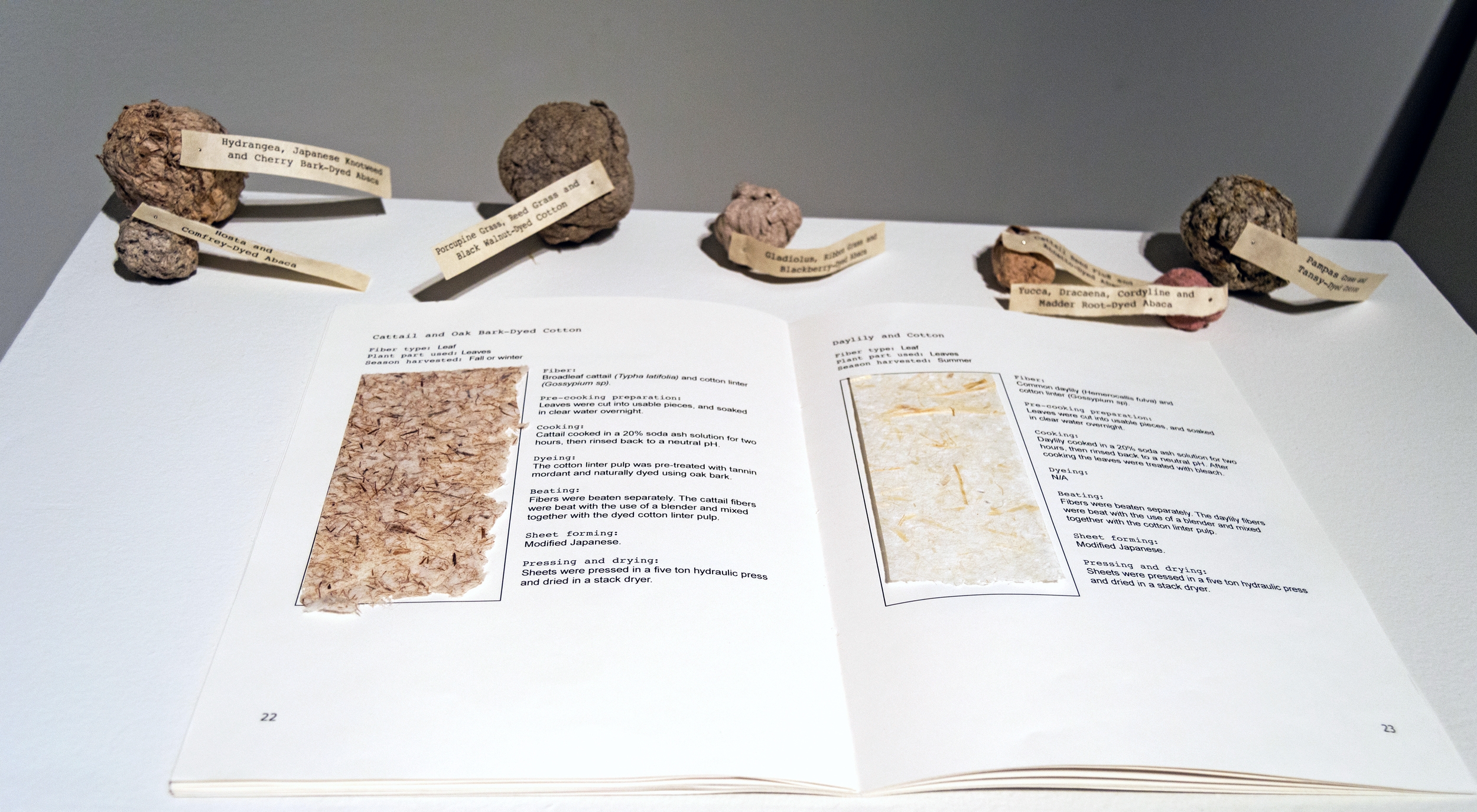 Transformations into the Botanical Conversation (book), and Pulp Samples, 2015