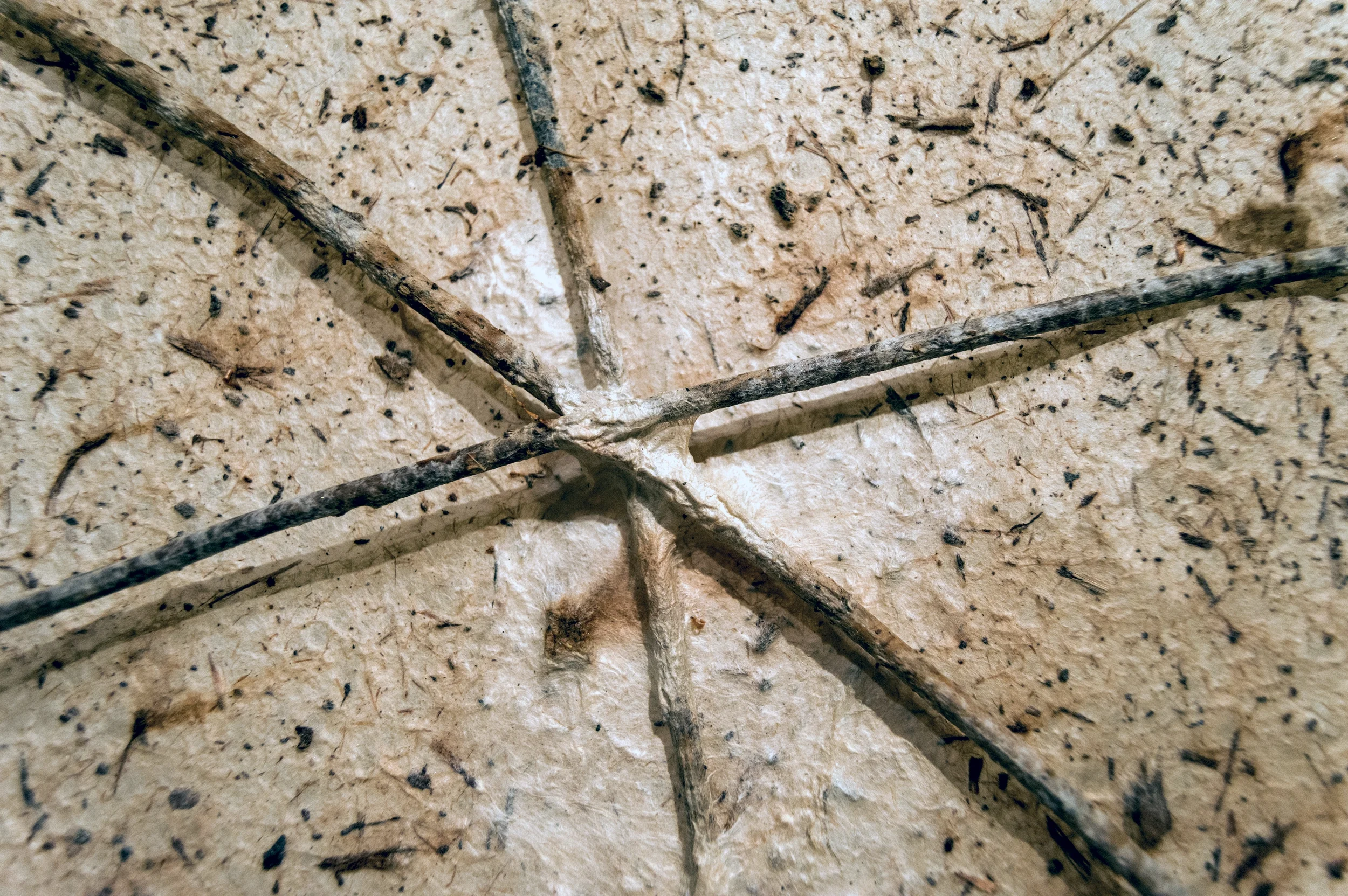 Fiber Panel V (detail), 2015