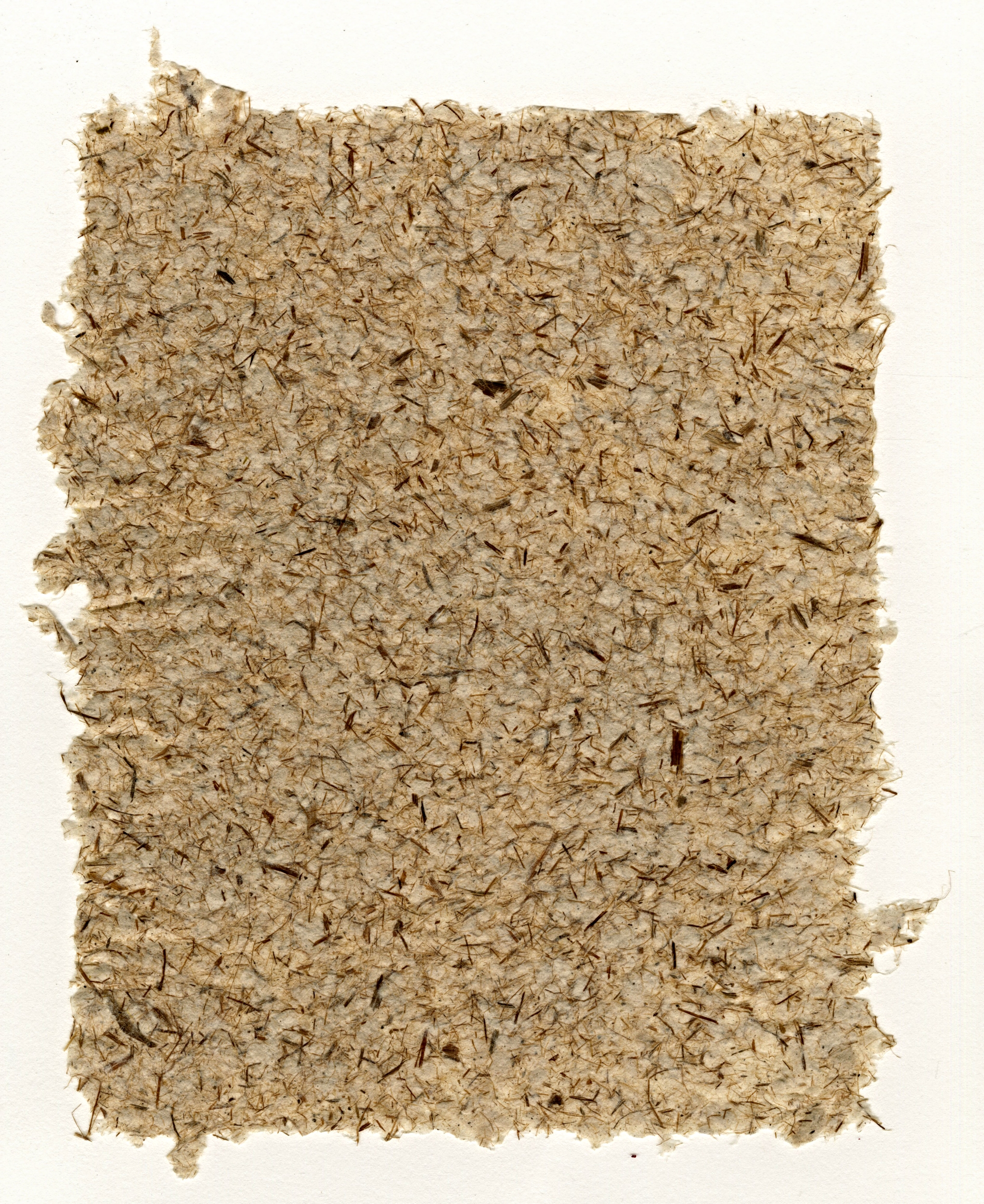 Cattail + Oak Bark-Dyed Cotton Paper | 2015