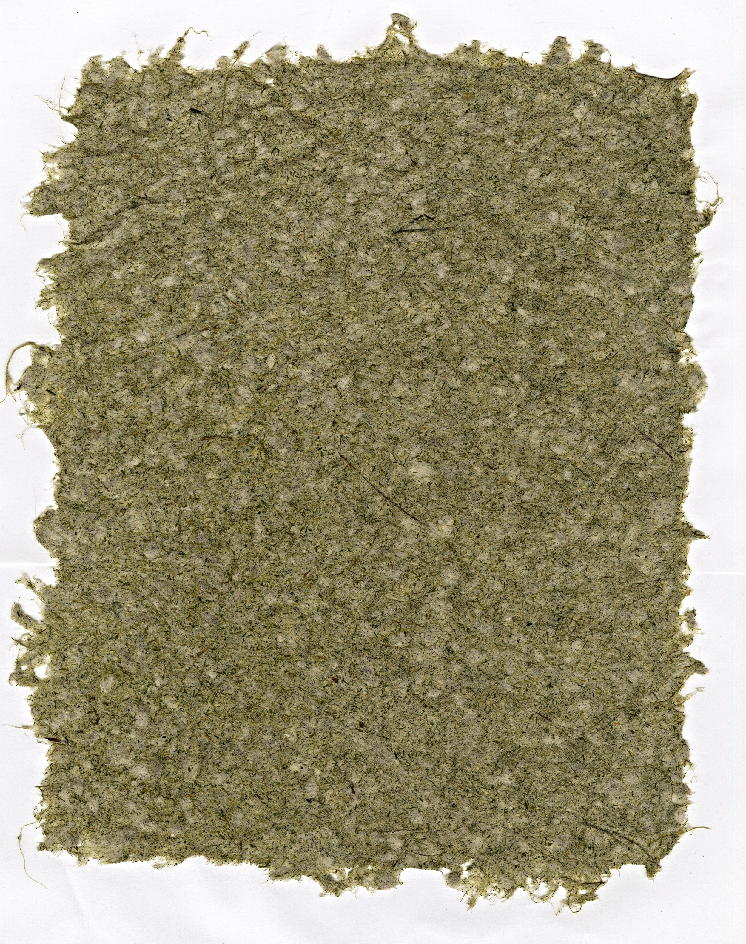 Porcupine Grass + Reed Feather Grass + Black Walnut-Dyed Cotton Paper | 2015