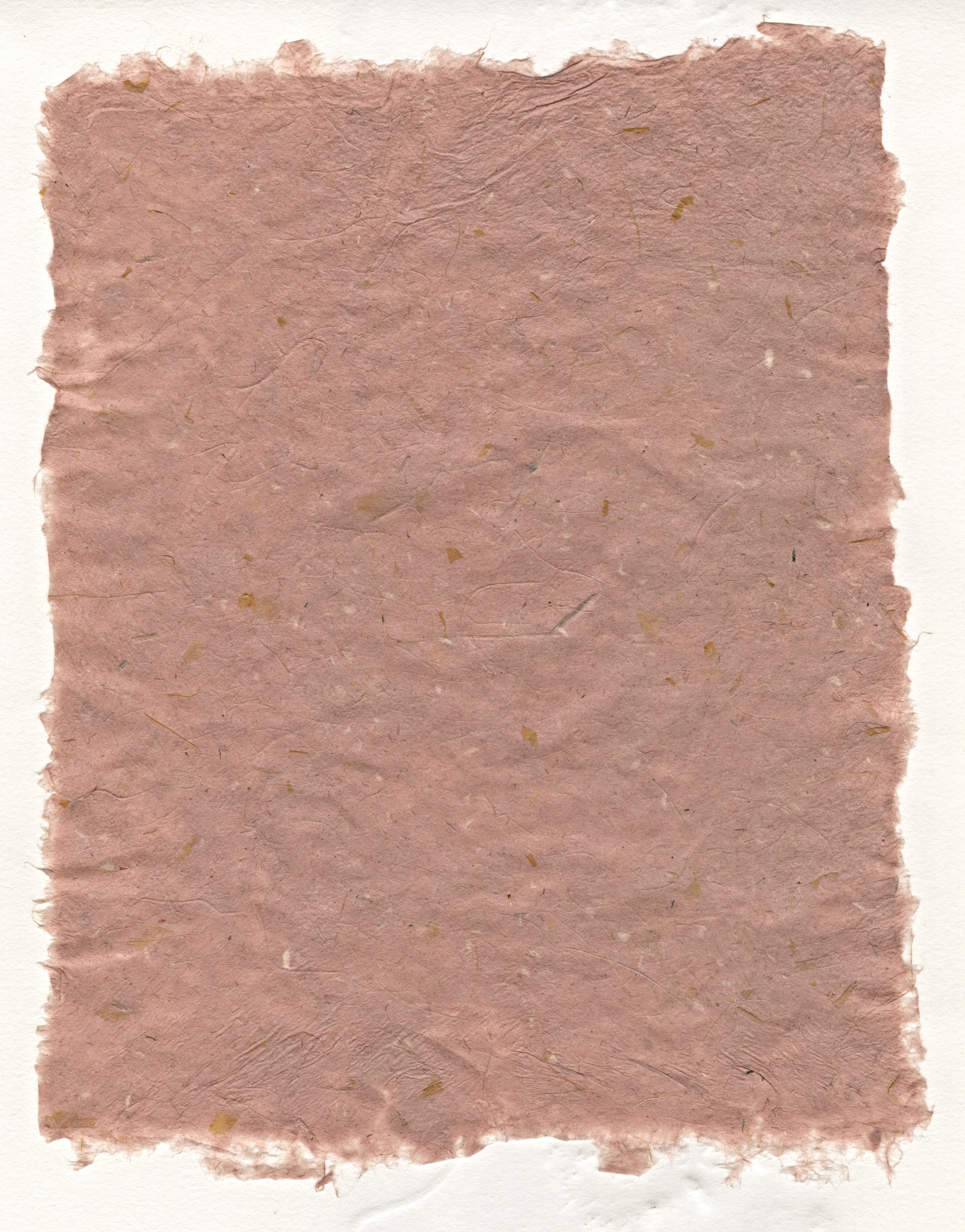 Yucca + Dracaena + Cordyline + Madder Root-Dyed Abaca Paper | 2015