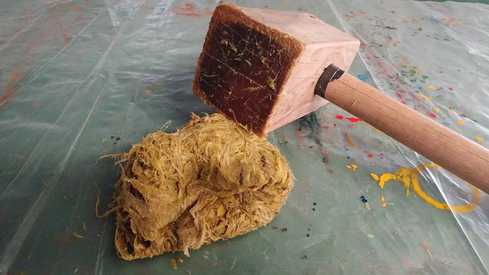 Hand beating Milkweed bast fibers.