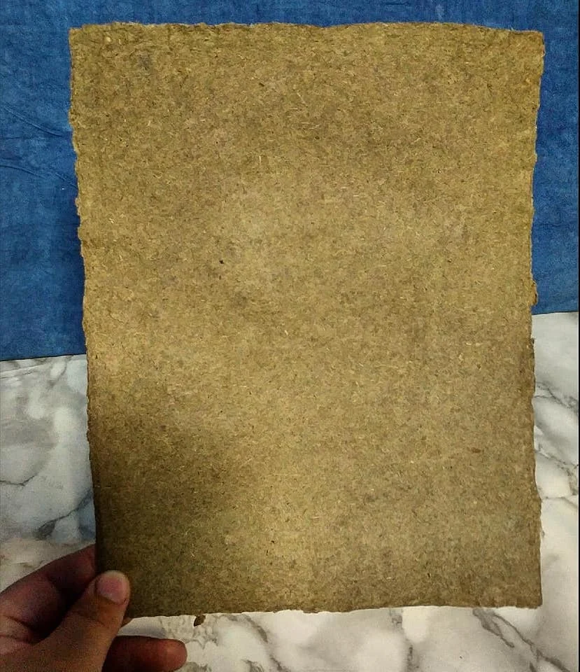 Beautiful Iris and Abaca paper.