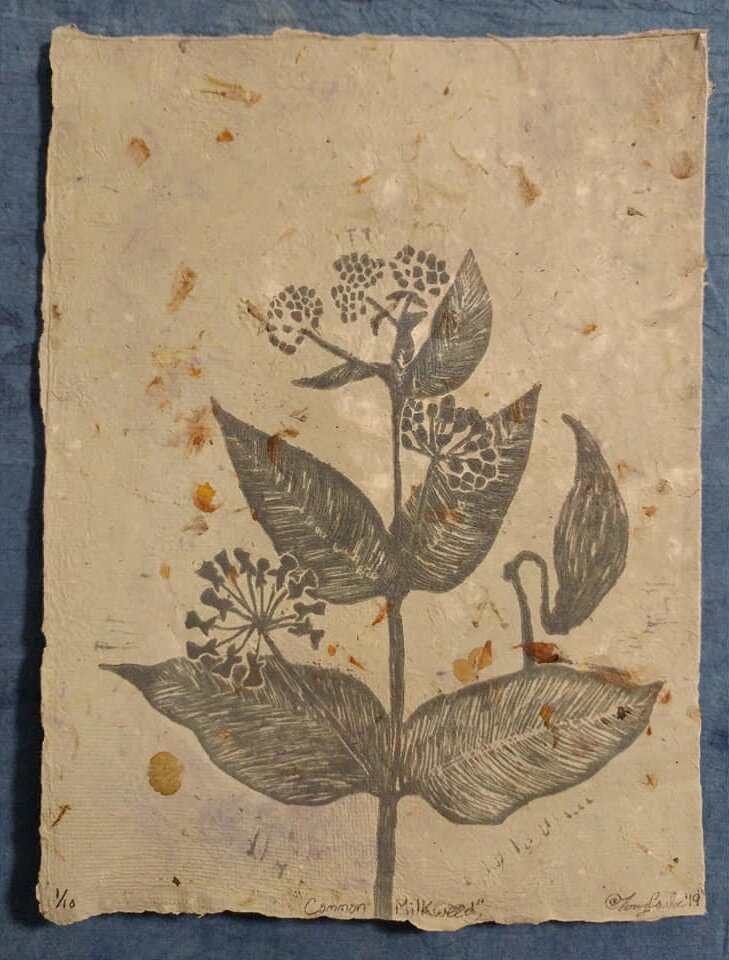  Common Milkweed | Linocut on handmade paper | 9” x 12” | 2019 