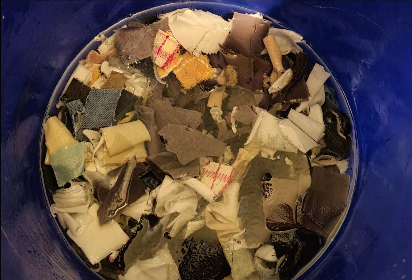  Soaking cotton fabric scraps for the next batch of pulp. 