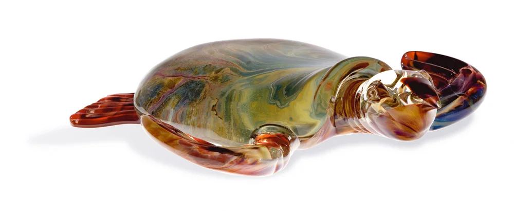 ZV1164-G_TURTLE_2.jpg