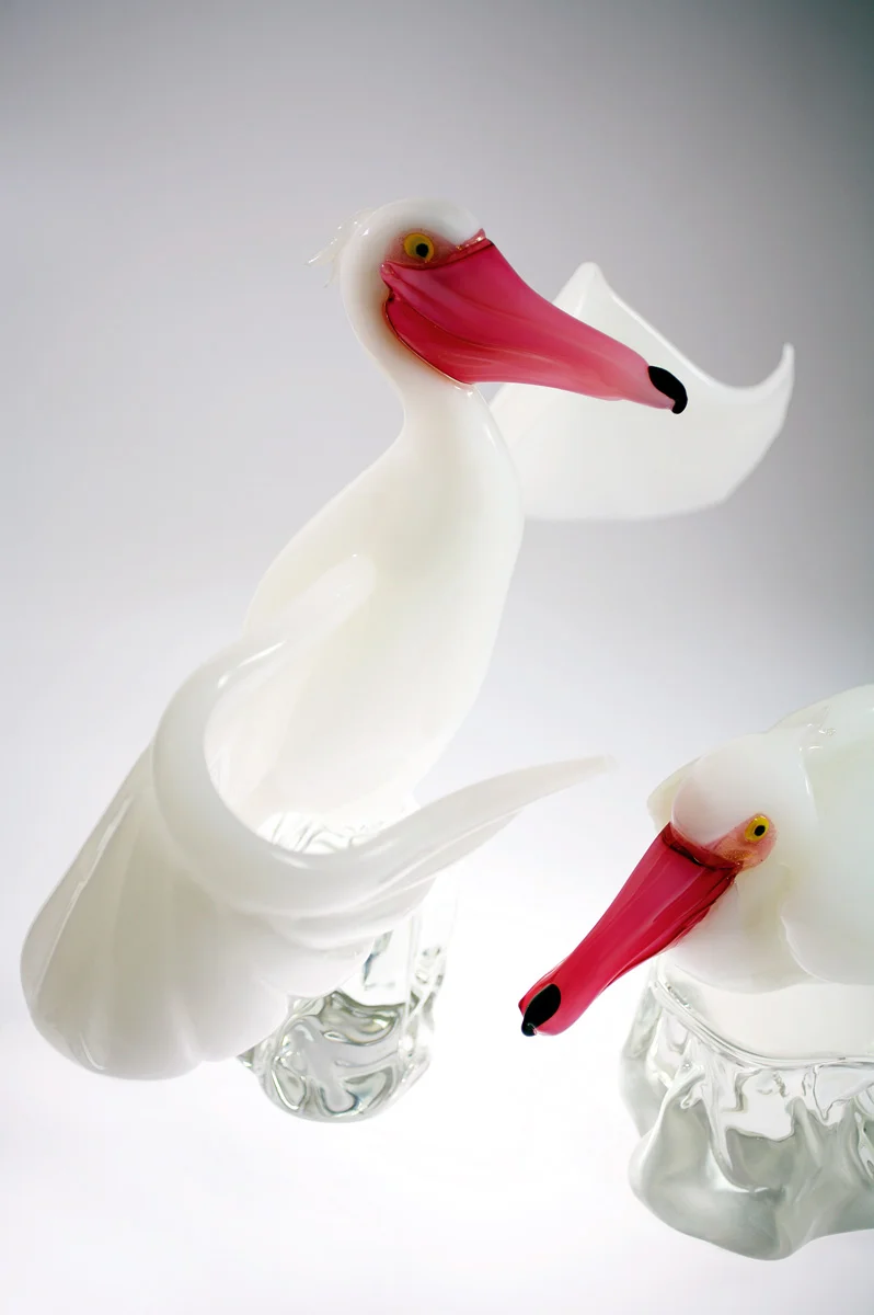 AZ41_PELICAN_CLOSEUP.jpg