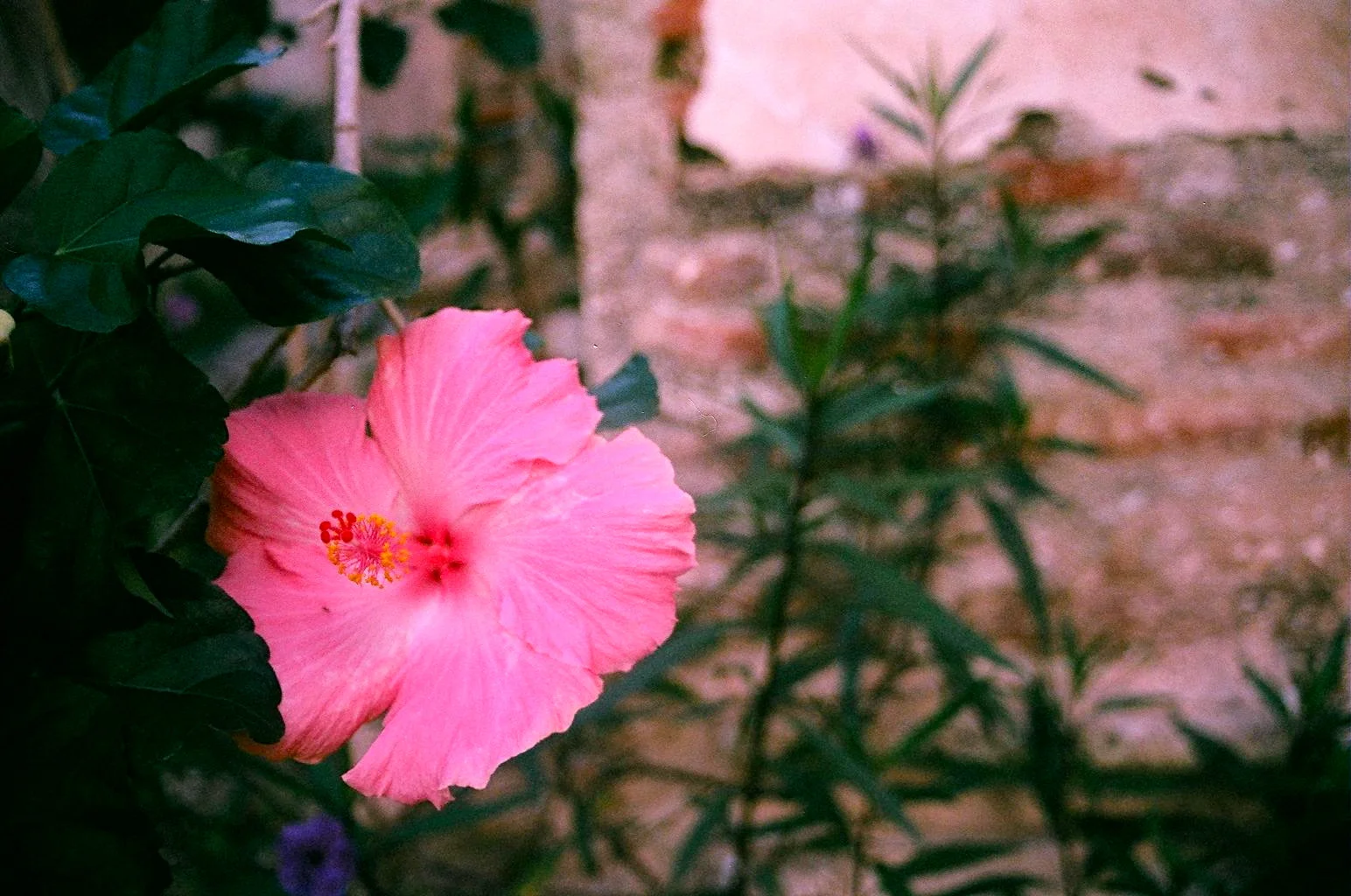 003_34.JPG