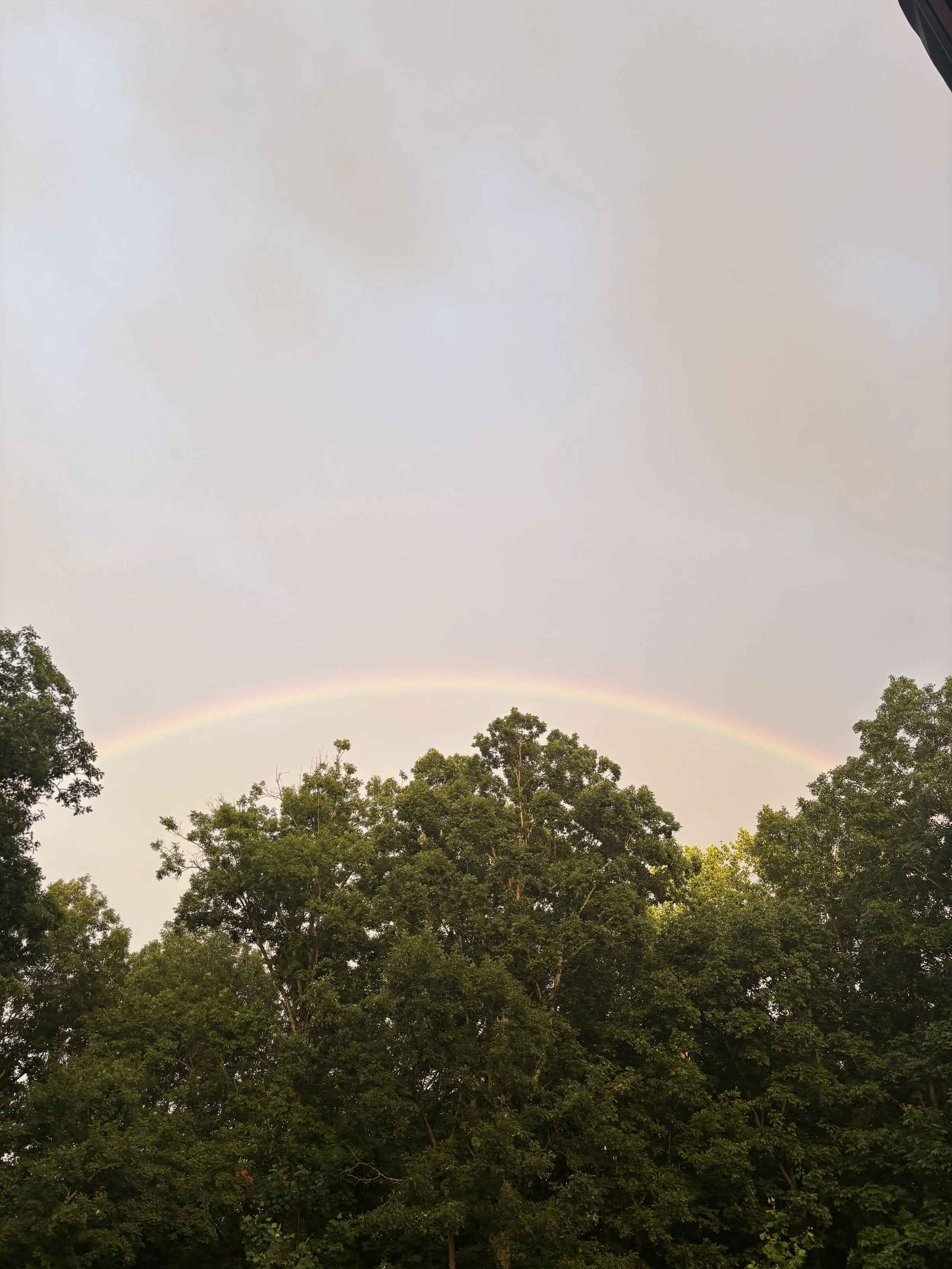 IMG_2964.jpeg