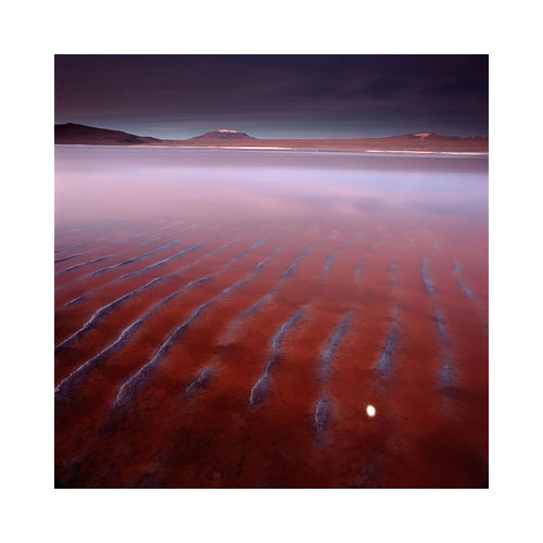 © Bruce Percy Photography