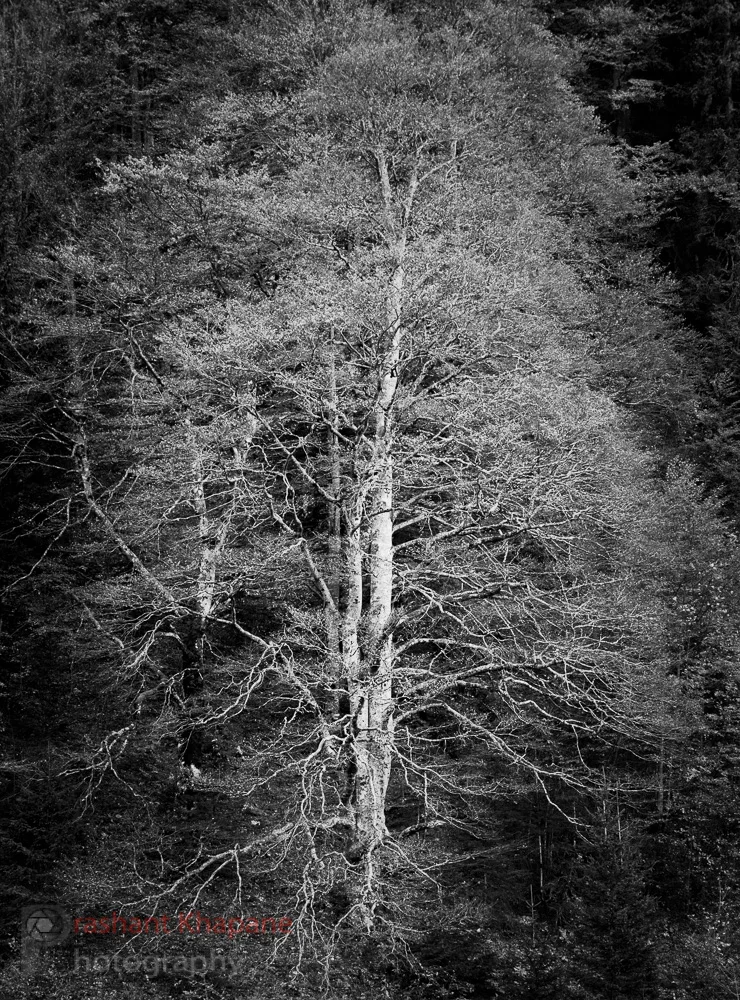 Canon FD35-105/3.5 which I bought for less than £120 on eBay is a fantastic lens.