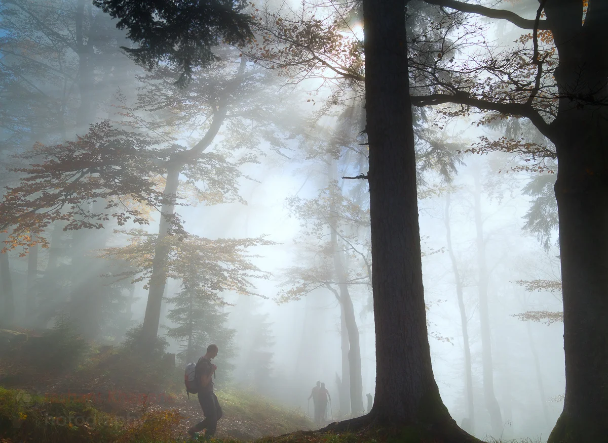 PrK_Autumn_101009_246.jpg