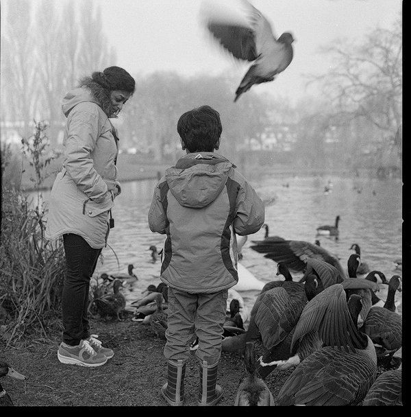 1st Jan 2017. Hasselblad 500CM + 80mm Planar. Ilford HP5+ ISO400. Developed in Ilford Ilfosol3 1:9 for 7 min.