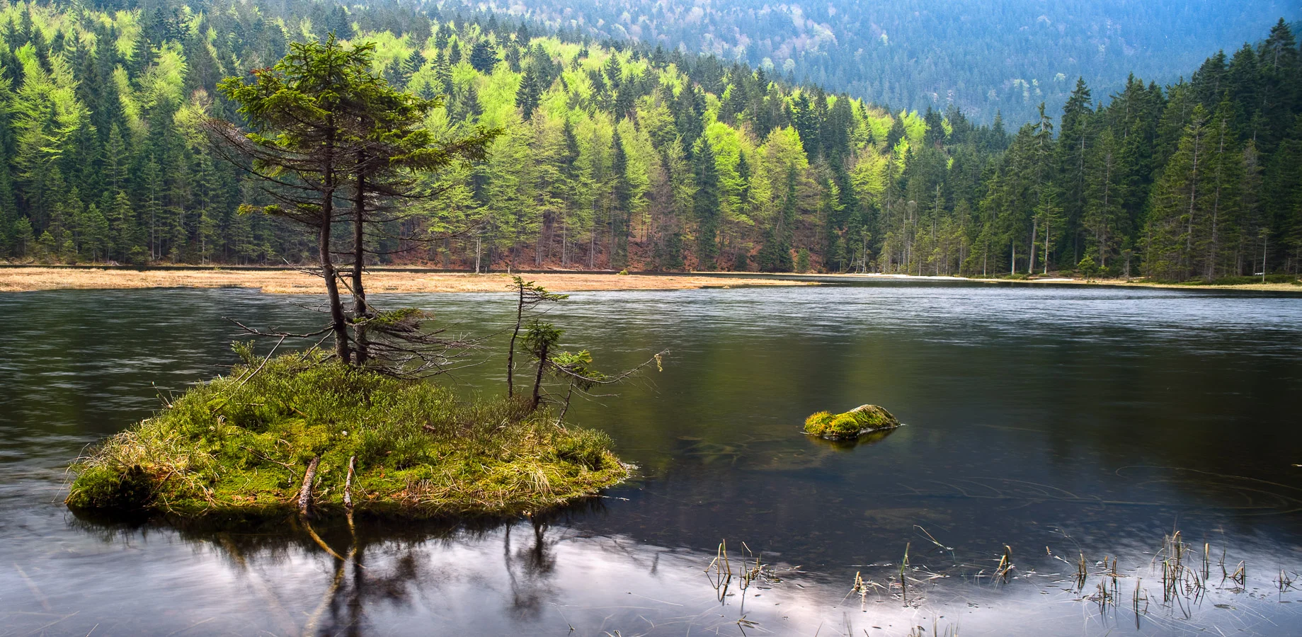 Bavarian National Park - Harry Potter Island. Canon EOS 5D + Olympus Zuiko 35mm SHIFT. I've printed this around 4ft at the long end and the details are amazing.