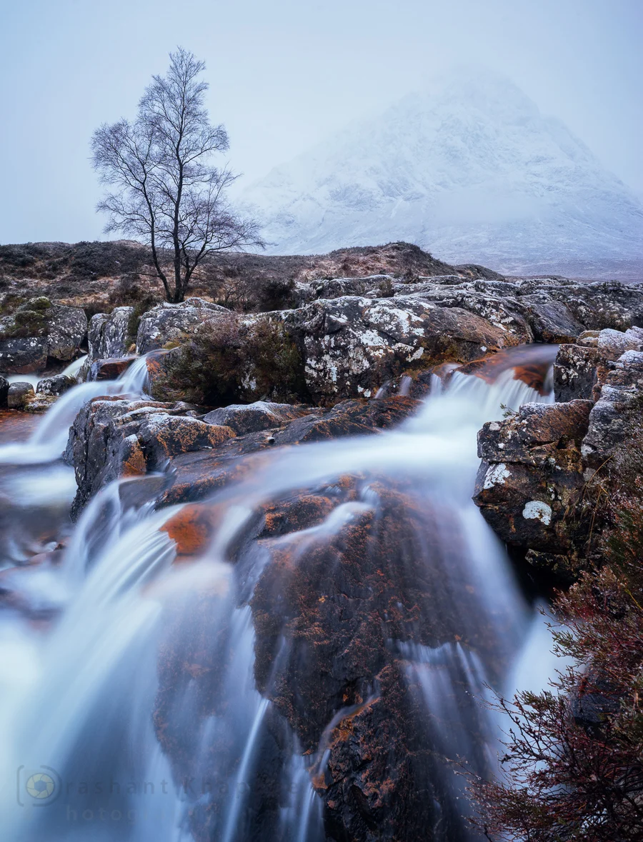 Sony A7ii + Loxia 21mm. Polarizer filter to remove glare. Click to view large.