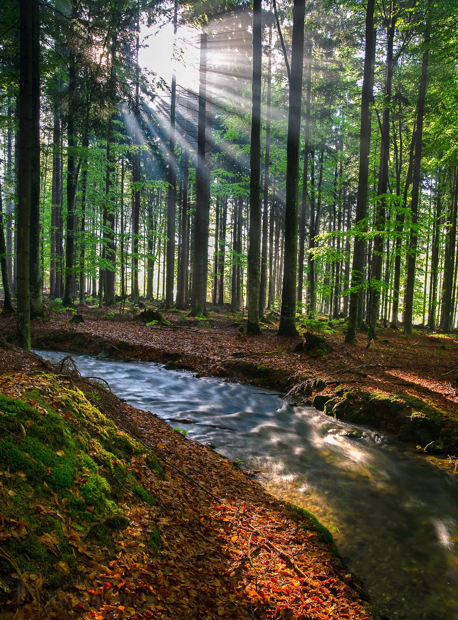 Illuminate - Canon EOS 5D Mark I in 2009