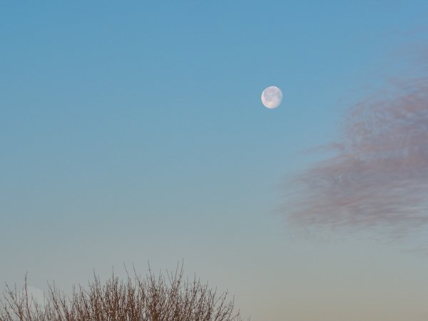 20160101_000000_MoonScapes-16.jpg