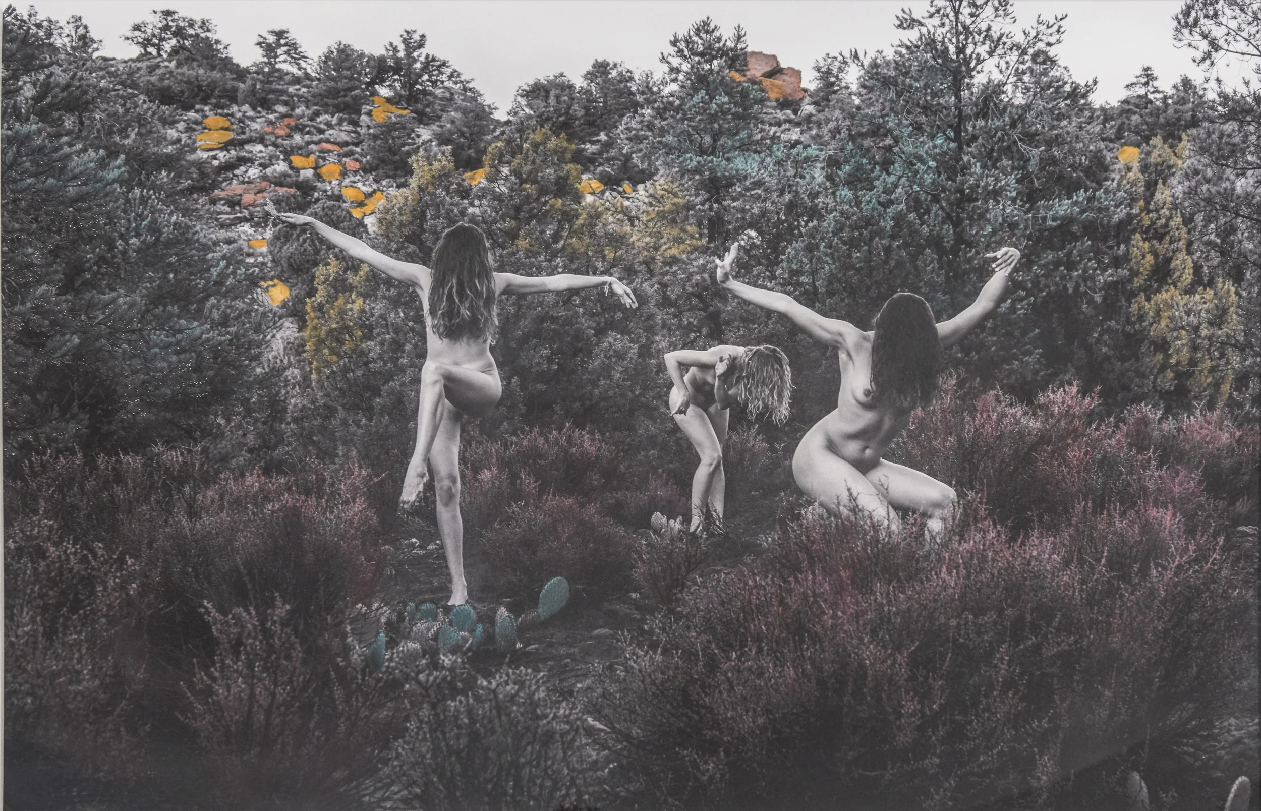 Three to be I , 2014 Watercolor and inkjet on paper, mounted on sintra 30 x 44 inches Collaboration with Annie Shinn