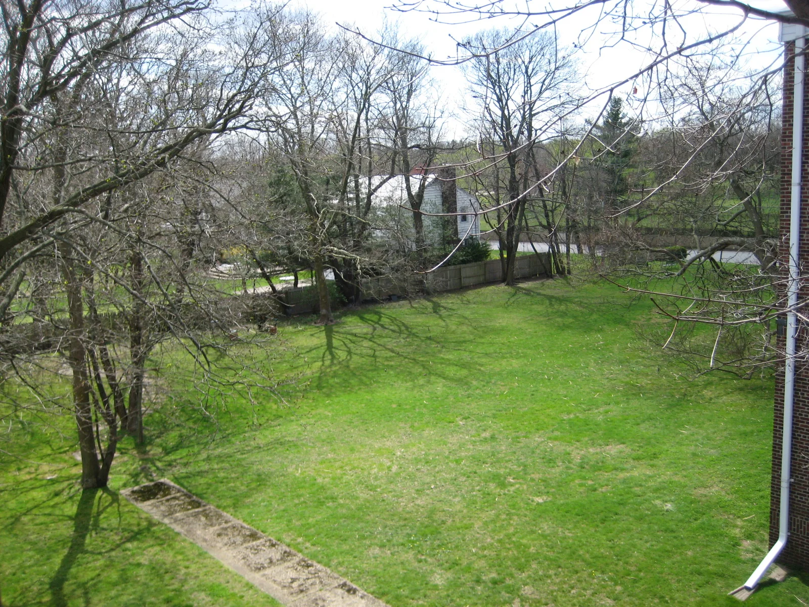 IMG_2620.JPG