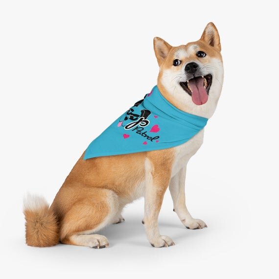 https://i.etsystatic.com/19063747/r/il/cc19ee/2973440108/il_570xN.2973440108_qa1i.jpg