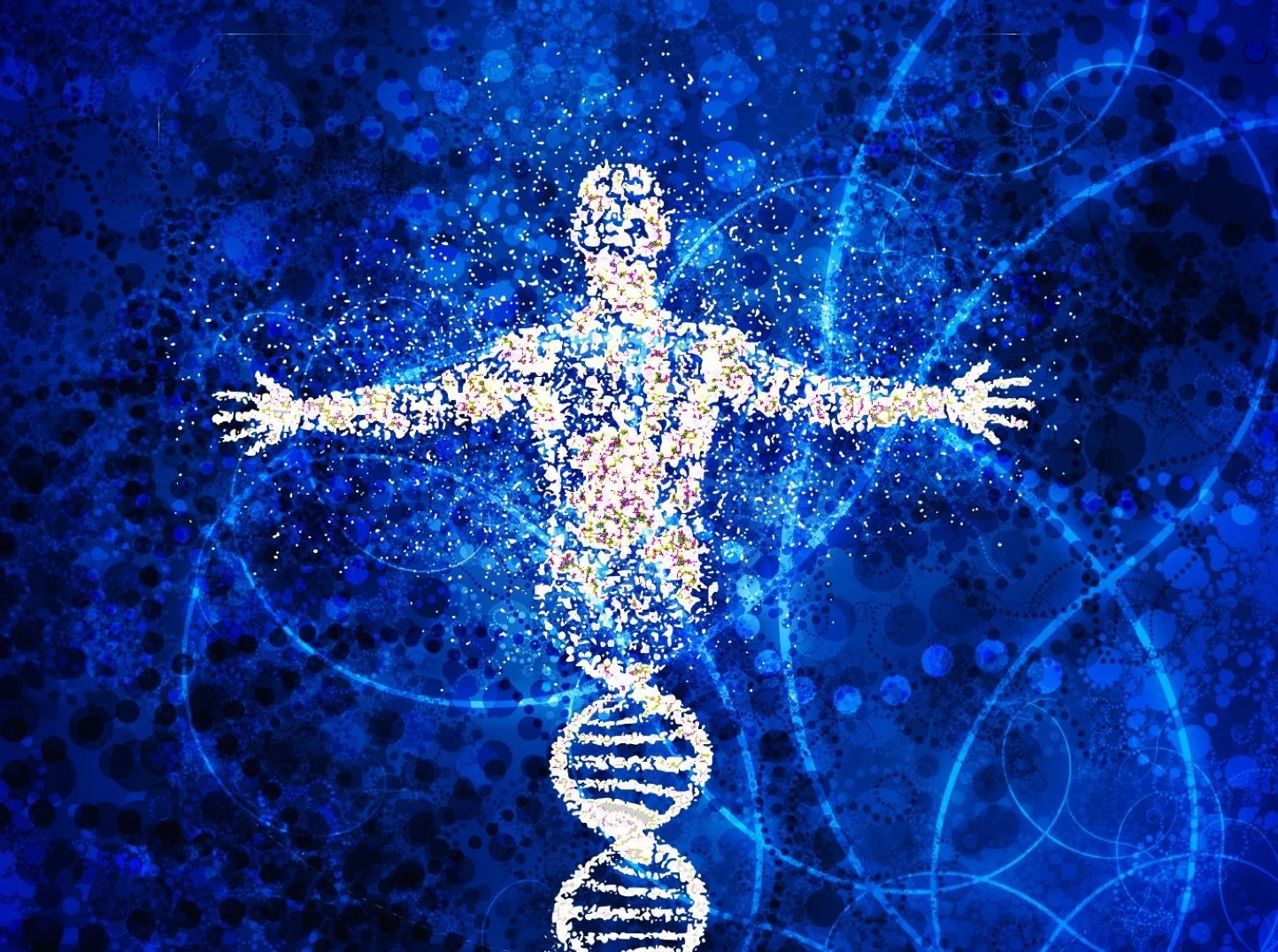BodyTalk Module 5: Lymphatic Drainage and Applied Anatomy & Physiology Chapel Hill, NC