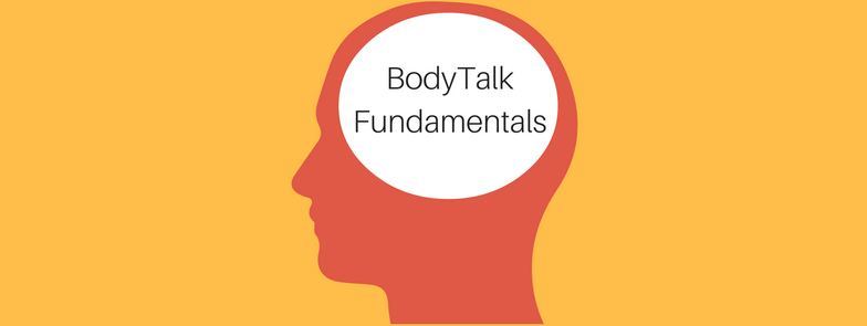BodyTalk Fundamentals Phoenixville, PA