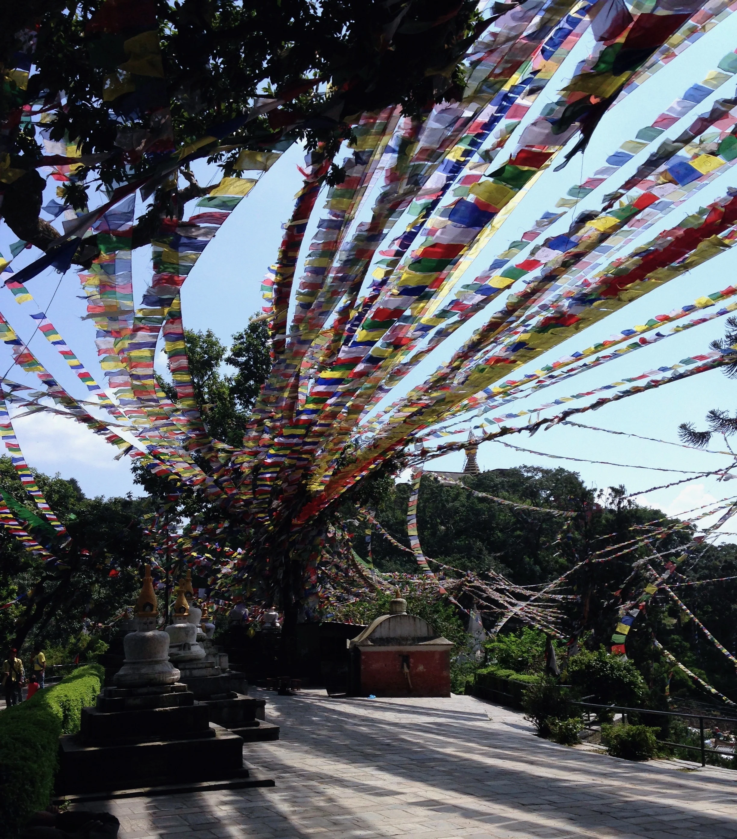 Nepal Medical Service Journey