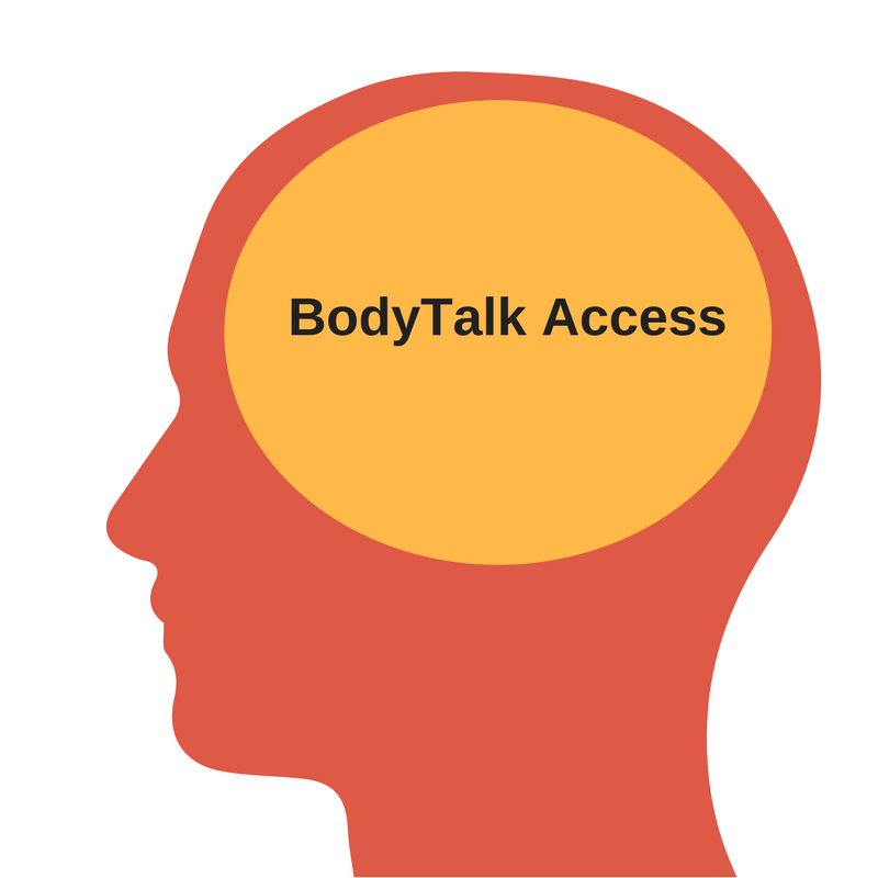 Full Tuition - Post Early Bird BodyTalk Access