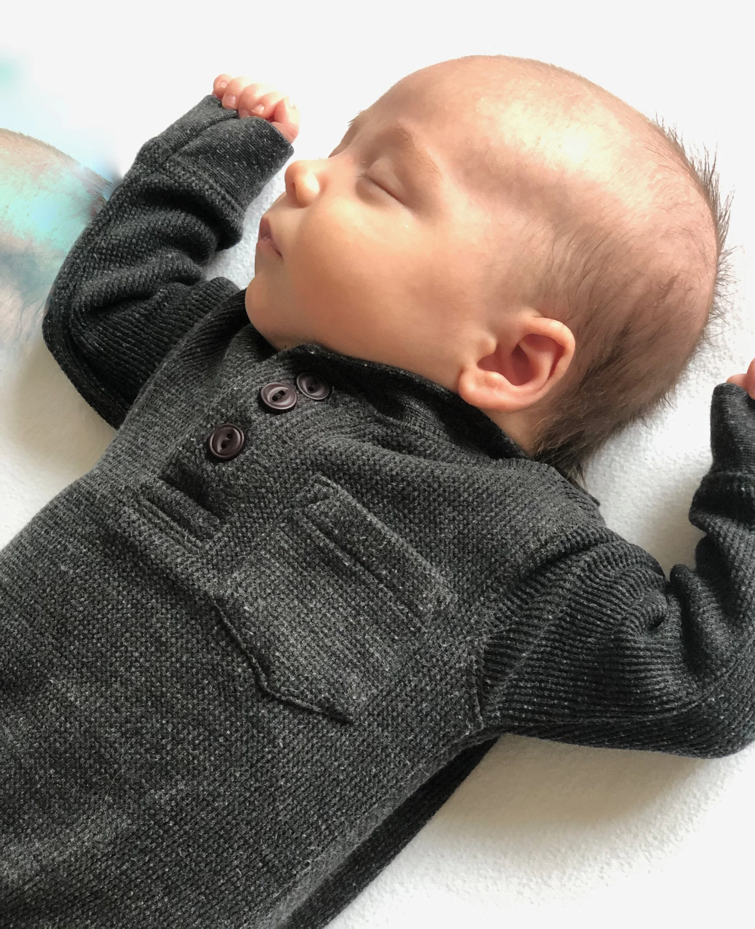 The Gillespie Approach - CFT Infant Training Chapel Hill, NC