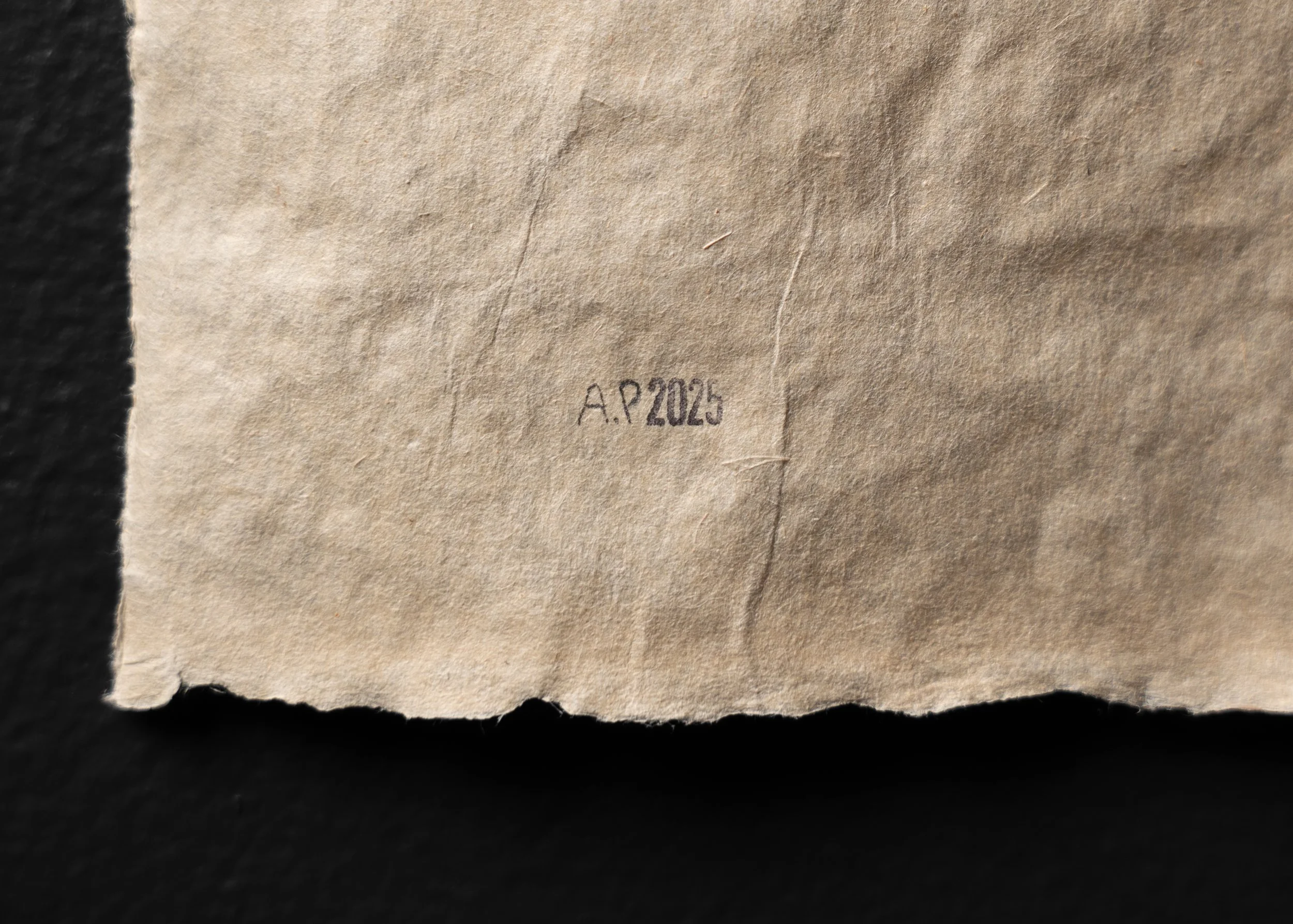 Fantasy & Doubting- Home Studio-10.jpg