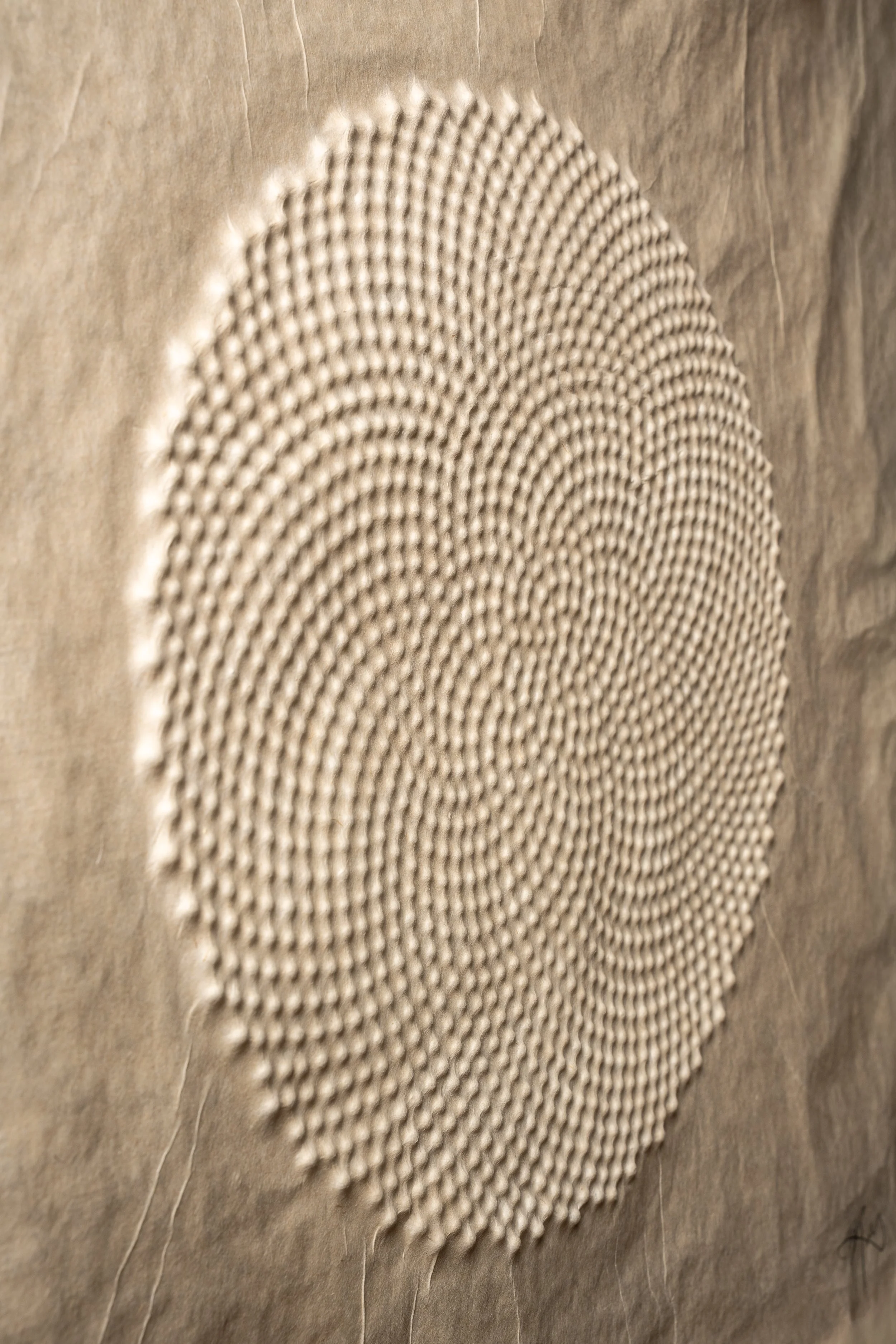 Fantasy & Doubting- Home Studio-3.jpg