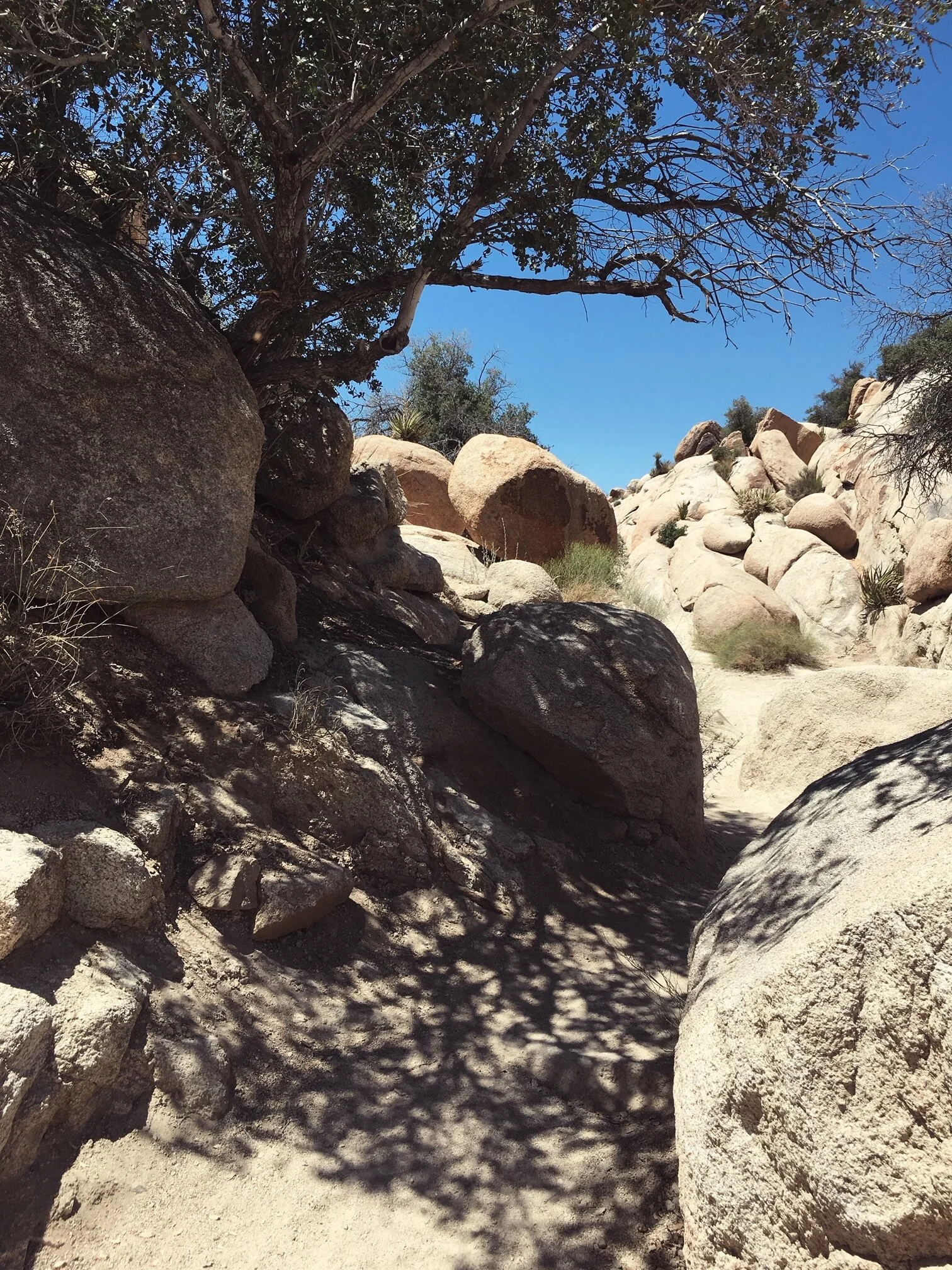 Signal Fire Arts: Talking Knots