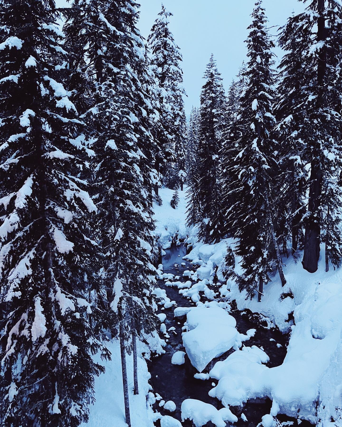 Pre-ski snow #snow #getoutside #snoqualmiepass #alpental #washington