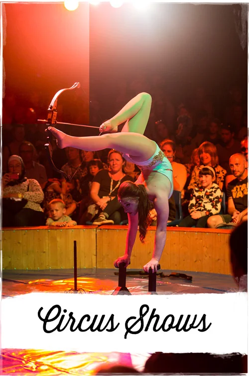 Circus-Shows.jpg