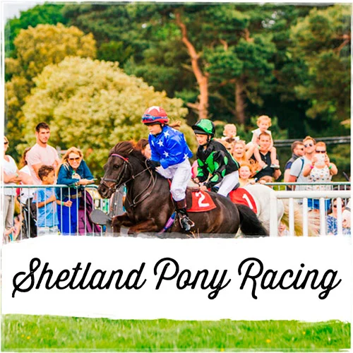 Pony-Grand-National-1.jpg