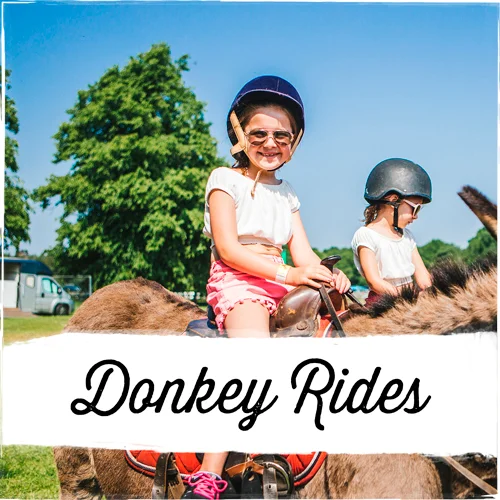 Donkey-Rides-1.jpg