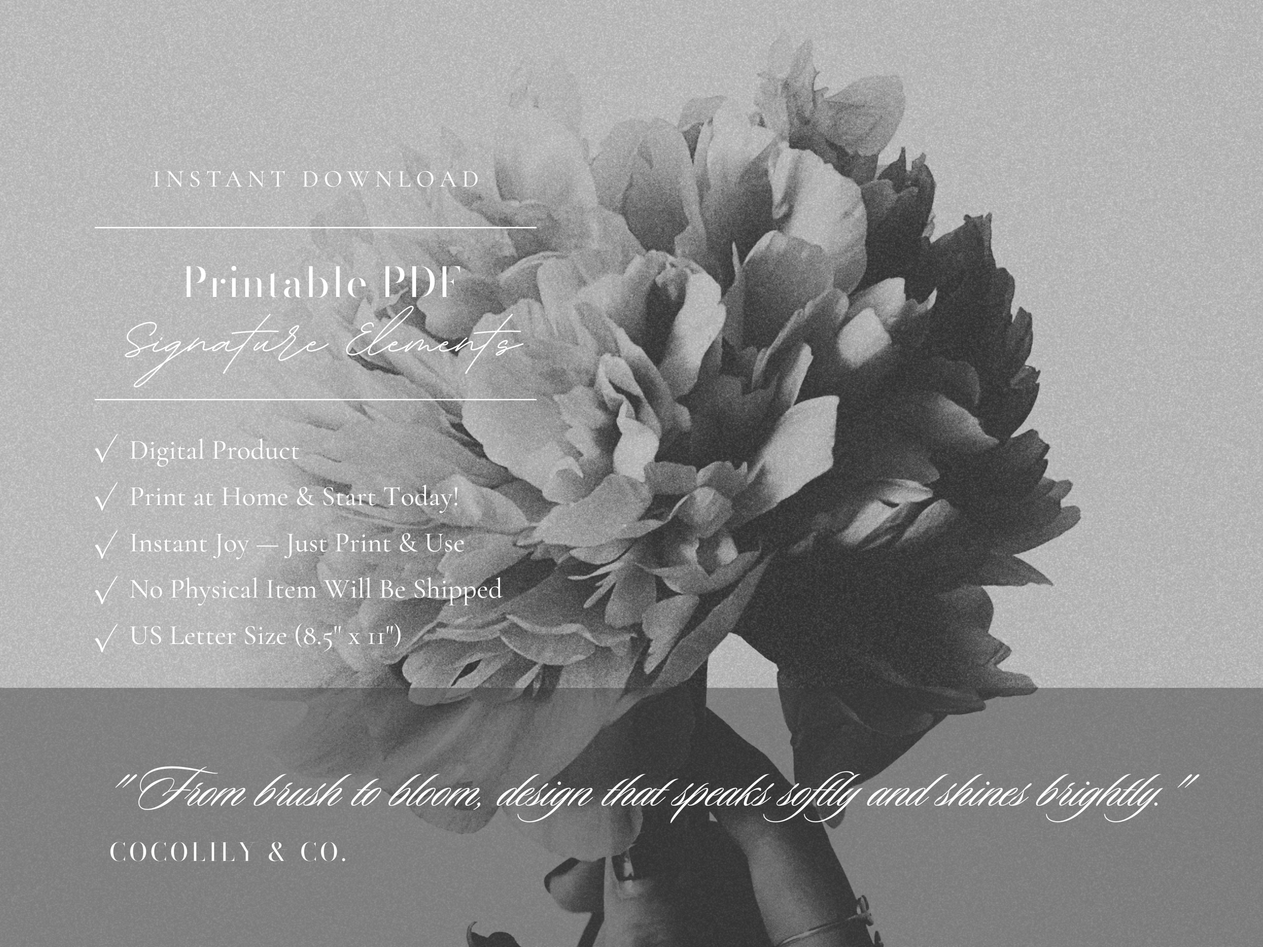 etsy 2025-mockups-PRINTABLES-planners-COCOLILYANDCO (2).png