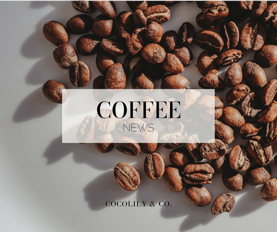 Melitta Canada x Rainforest Alliance Certification