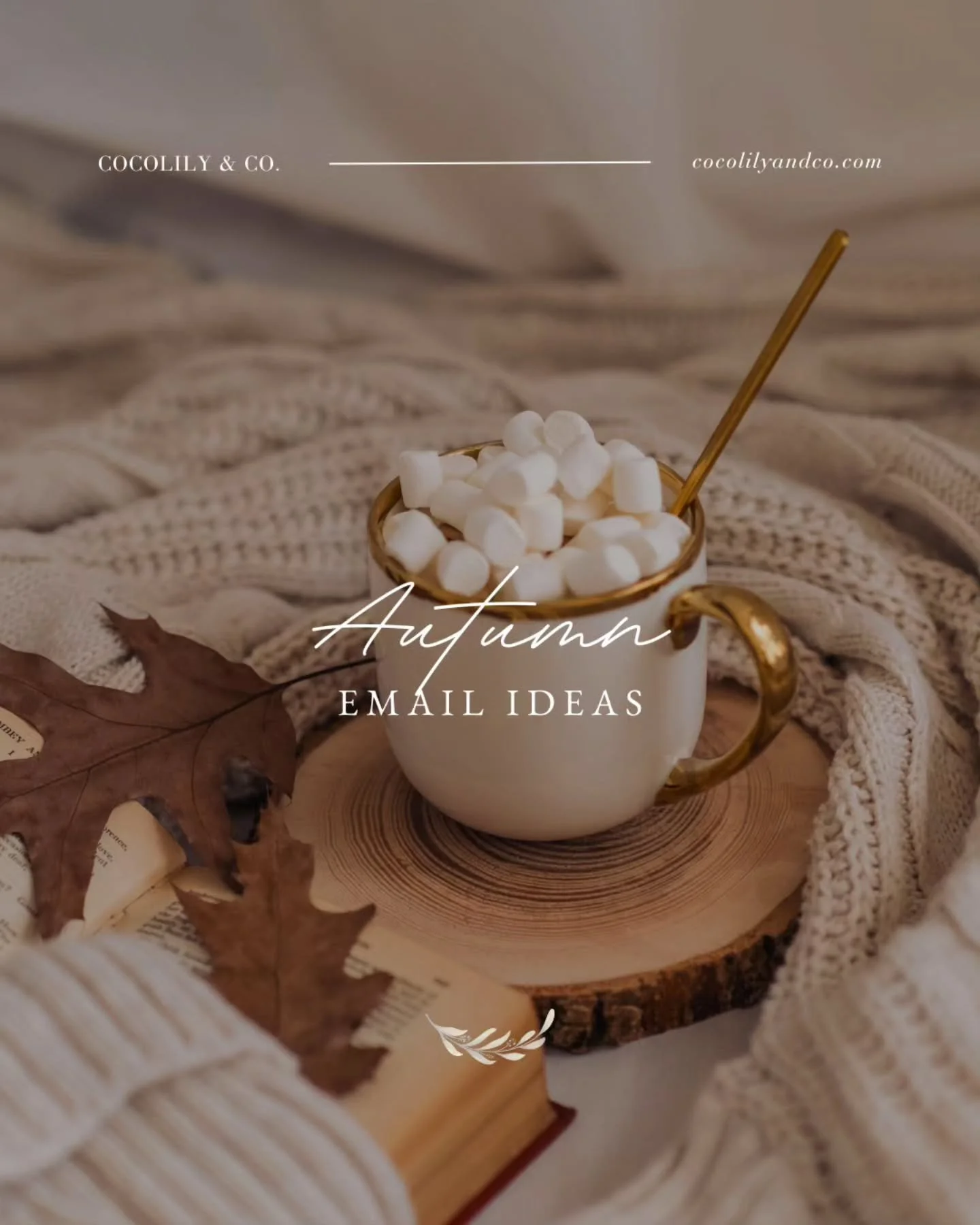 Now on the Journal...Autumn Email Ideas.⁠
⁠
Fall is the perfect time to reconnect with your email list. But before you hit &quot;send,&quot; remember: the subject line is your first impression. It&rsquo;s the difference between &quot;open now&quot; a